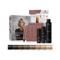 Color10 Speedy Makeover Kit