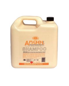 ANGEL COLOUR SHAMPOO 5L