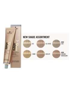 Blondme Lift & Blend Launch Kit